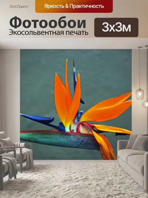 Фотообои открытая стрелиция цветок и листья