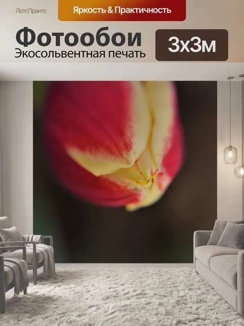 Фотообои Тюльпан