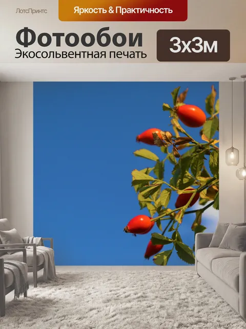 Фотообои Шиповник