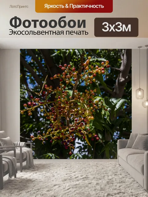Фотообои Фон из красного и золотого ягод