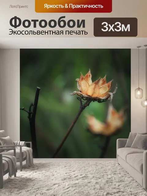 Фотообои Цветок