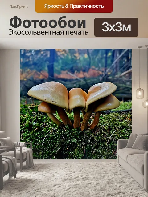 Фотообои Древесина