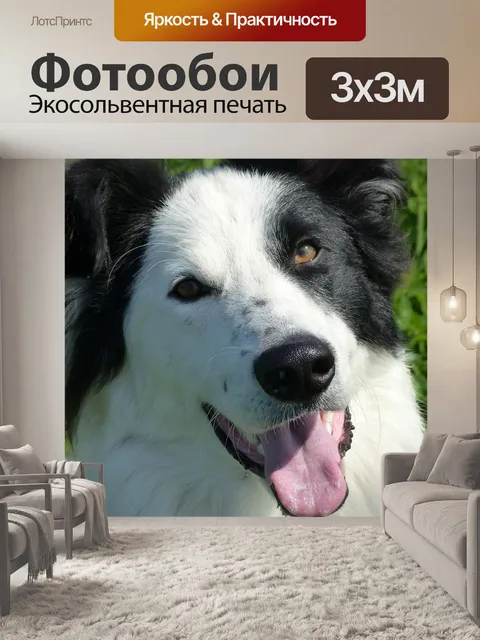 Фотообои Пересечение
