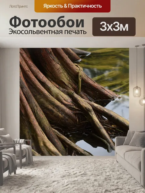 Фотообои Джунгли