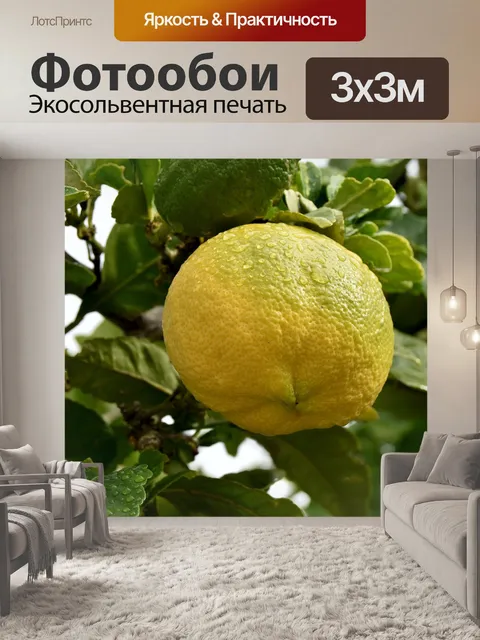 Фотообои Фрукты