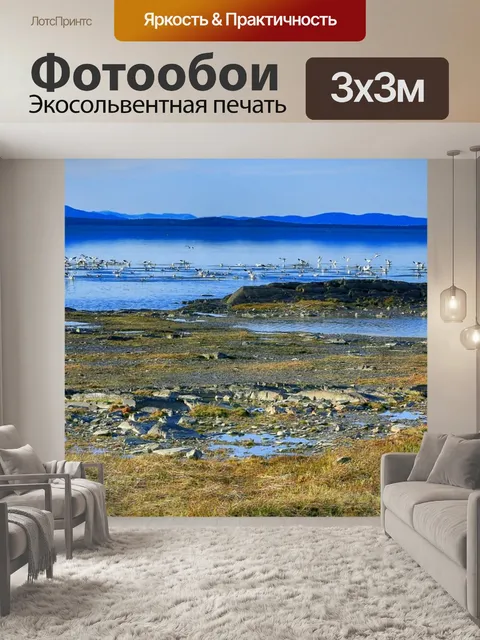 Фотообои Гуси