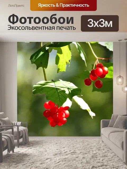 Фотообои Ягоды