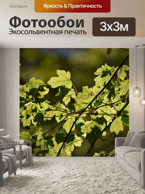 Фотообои Листья