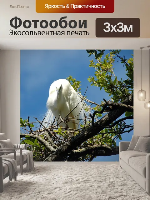 Фотообои Белая цапля
