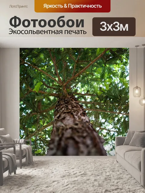 Фотообои Дерево