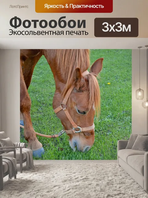 Фотообои Лошадь