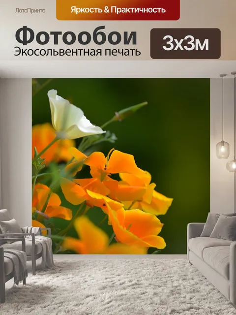 Фотообои Цветы