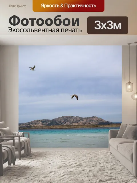 Фотообои Чайка