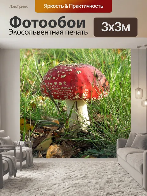 Фотообои Гриб