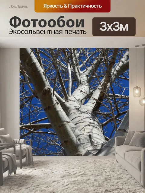 Фотообои Дерево