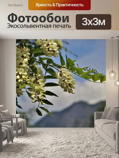 Фотообои Акация