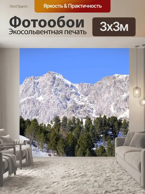 Фотообои Сосны лес