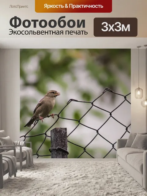 Фотообои Воробей