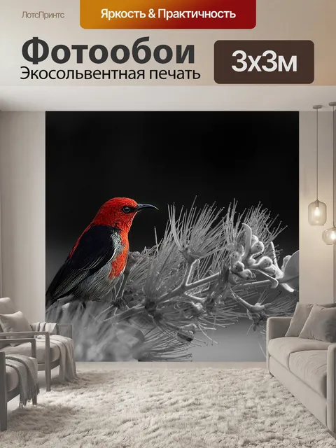 Фотообои Птица
