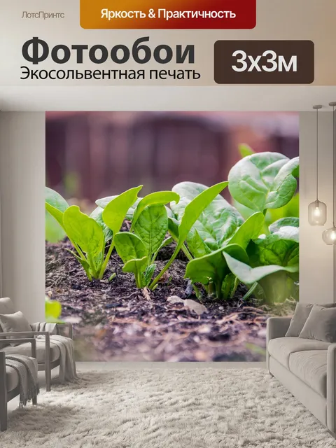 Фотообои Зеленый