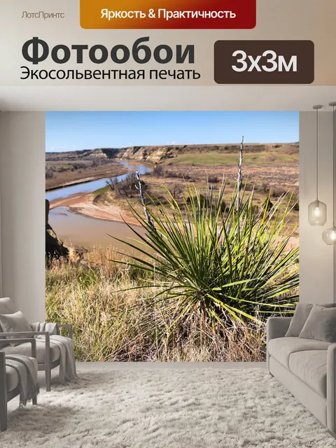 Фотообои План