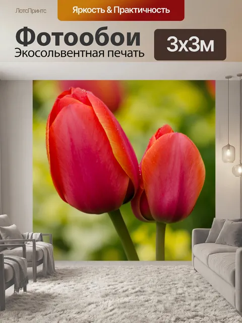Фотообои Цветы