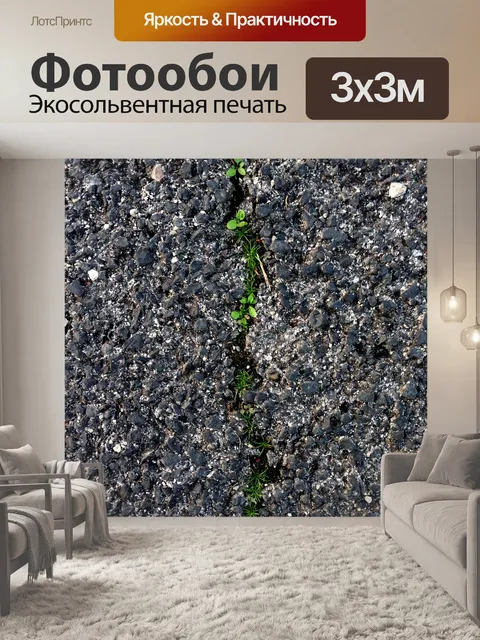 Фотообои Почвы