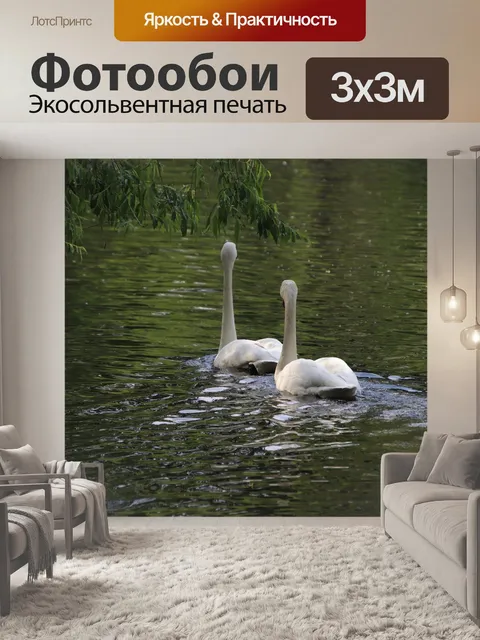 Фотообои Лебеди