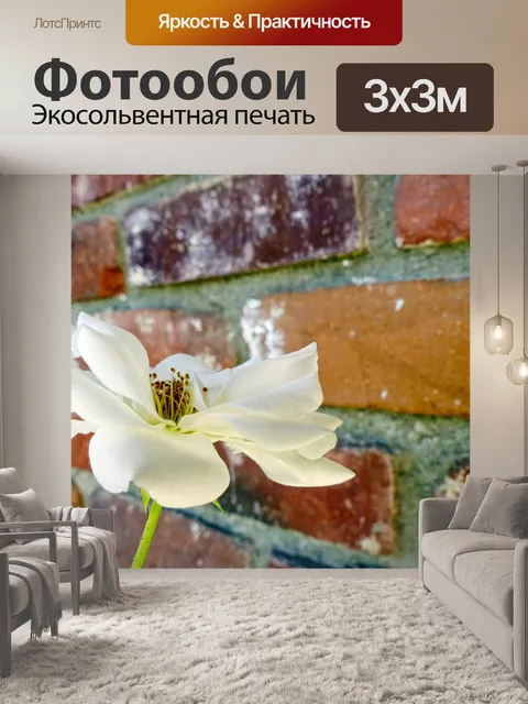 Фотообои Белый Хартвуд Роуз