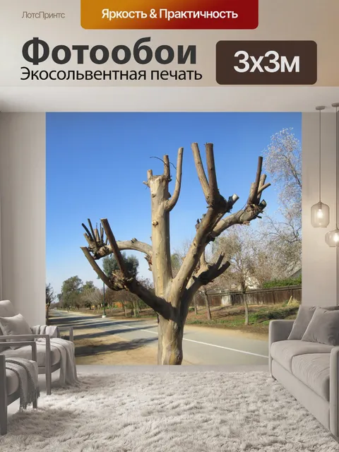 Фотообои Обрезке деревьев 2