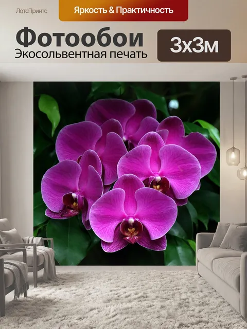 Фотообои Орхидеи