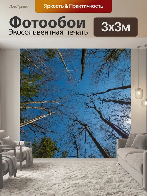 Фотообои Деревья