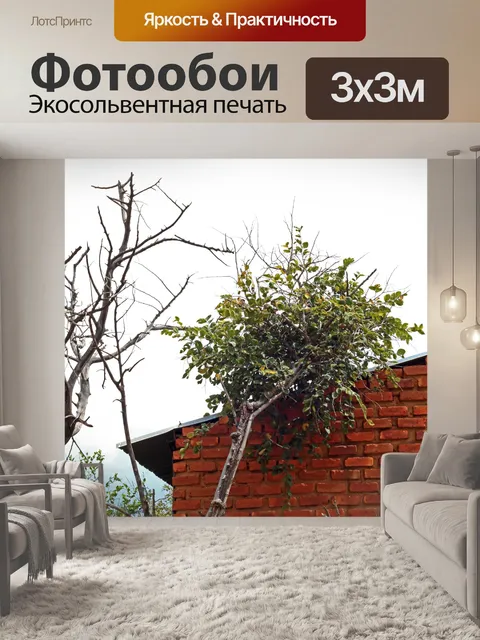Фотообои дерево у кирпичной стены