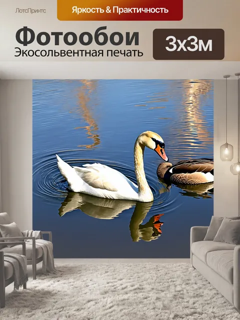 Фотообои животные в стиле вектор, красивые водные птицы: лебеди и утки на прозрачной глади озера с отражением