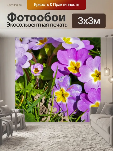 Фотообои Пейзаж