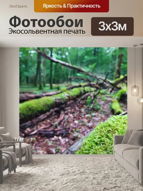 Фотообои Лес