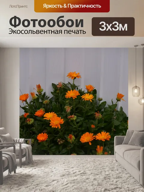 Фотообои Букет оранжевых цветов