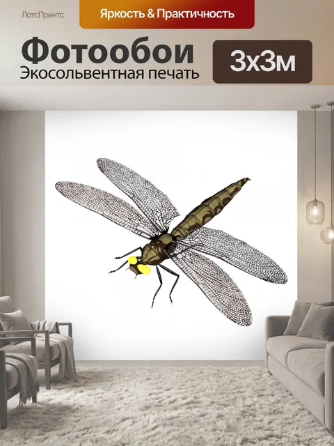 Фотообои стрекозы крупным планом