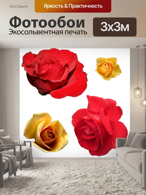 Фотообои Изолированные цветок Клипарт