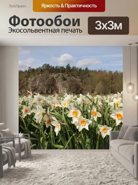 Фотообои Цветы