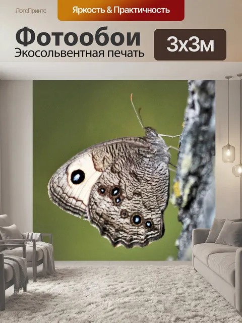 Фотообои Обычная деревянная бабочка-бабочка