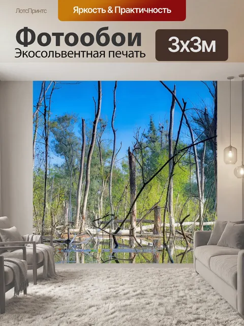 Фотообои Деревья