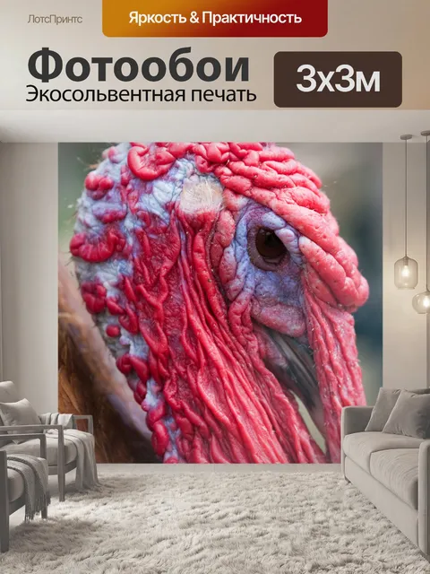 Фотообои Турция голова птицы крупным планом
