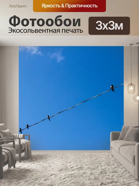 Фотообои Птицы