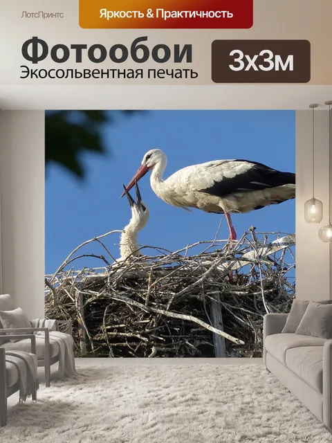 Фотообои Аист