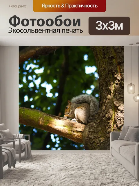 Фотообои Белка