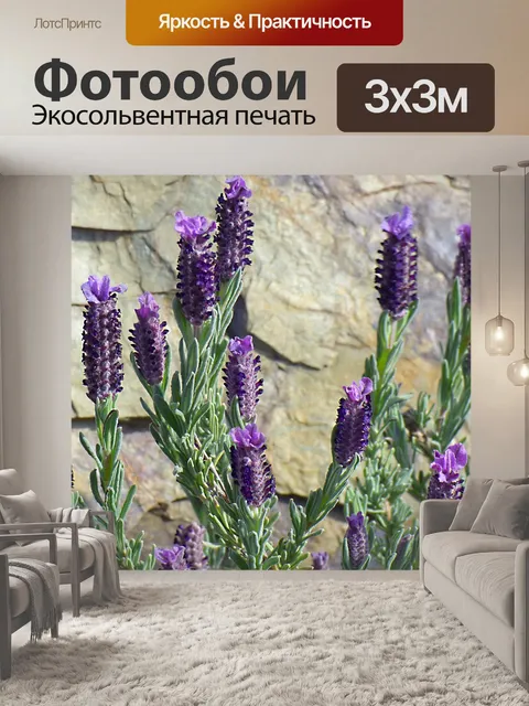 Фотообои Лаванда