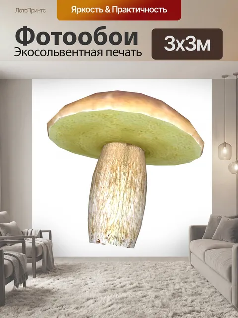 Фотообои подберезовики