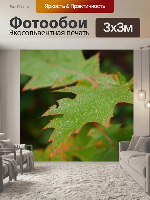 Фотообои Роса