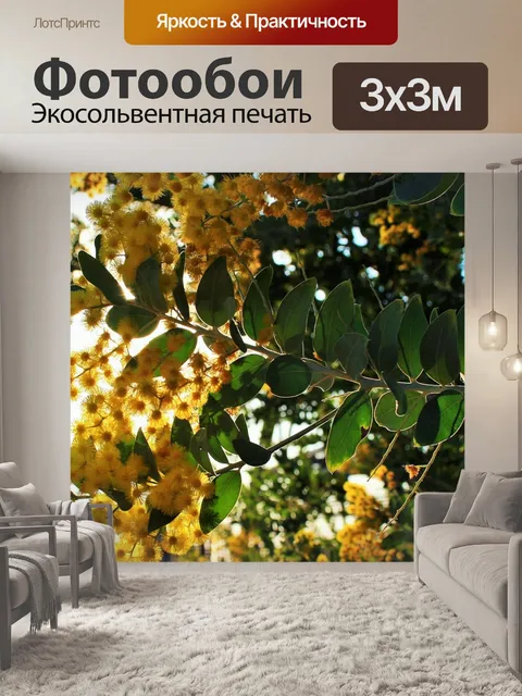 Фотообои Акация